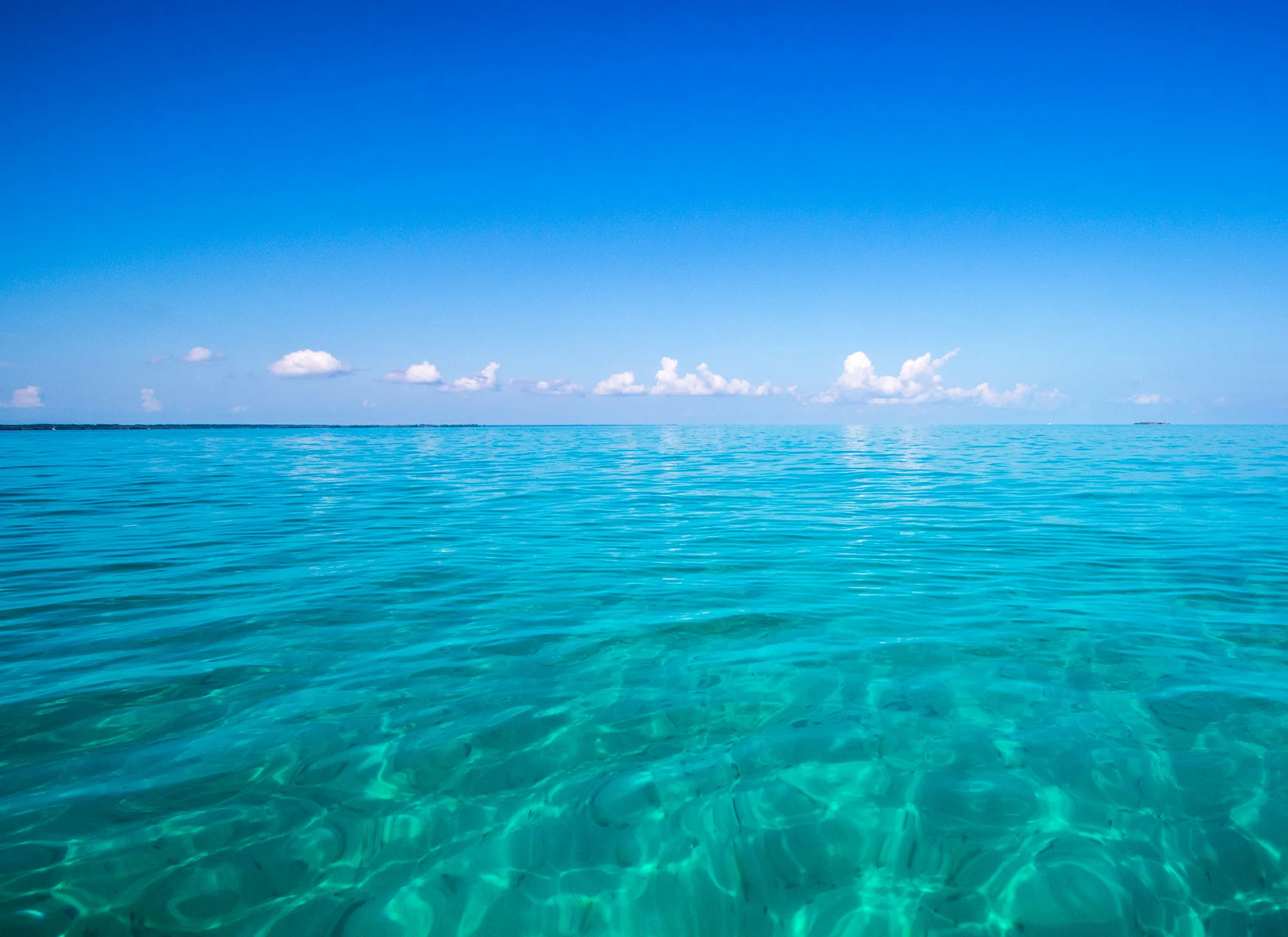 Great Guana Cay