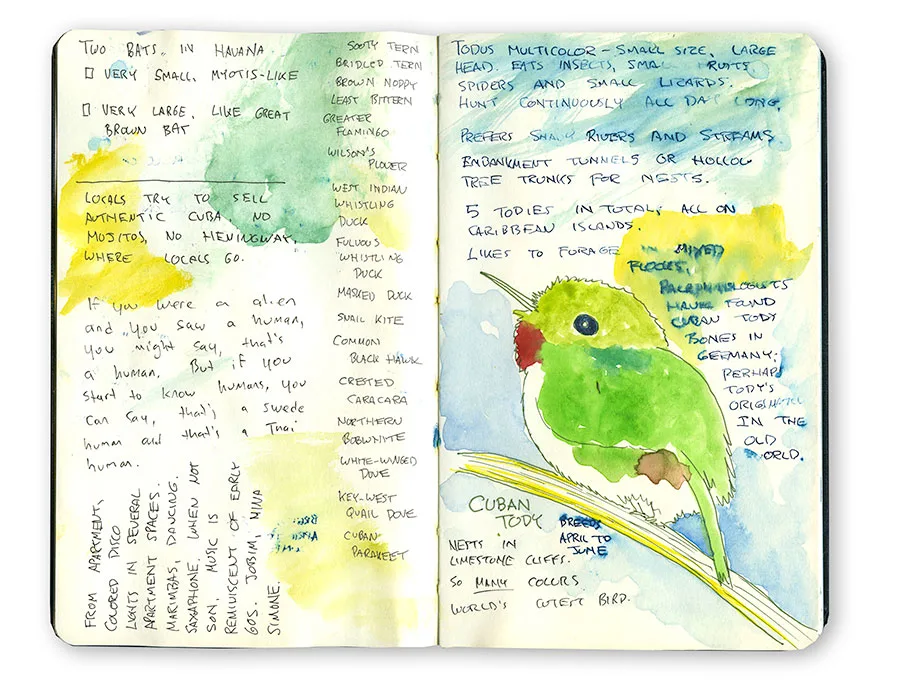 Cuba sketchbook spread with a Cuban tody and handwritten notes on Havana.