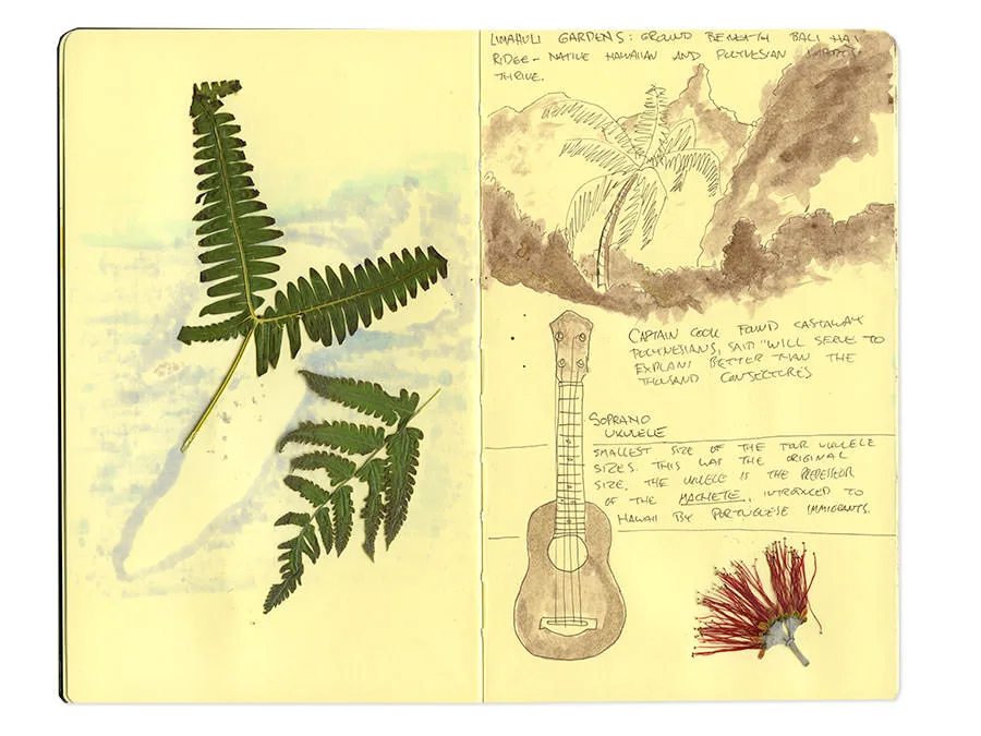 Sketch journal spread with pressed ferns, the ridges above Limahuli Garden, a soprano ukulele and a red blossom