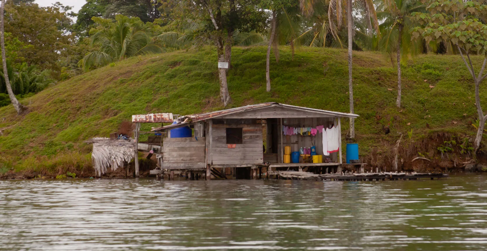 A weathered wooden stilt house with laundry and water barrels on a green island shore, Isla Bastimentos