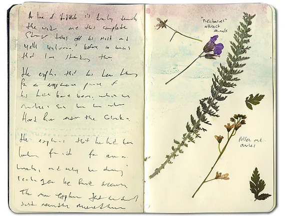 Moleskine spread with handwritten notes and pressed wildflowers and leaves from the Hood River Valley