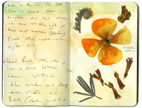 Moleskine spread with a pressed California poppy, a lupine leaf and dried tubular flowers