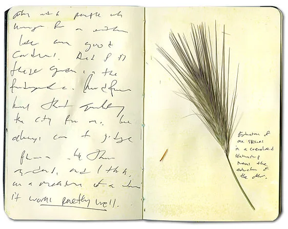 Grass Species Journal