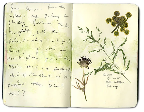 Grasses Moleskine Journal