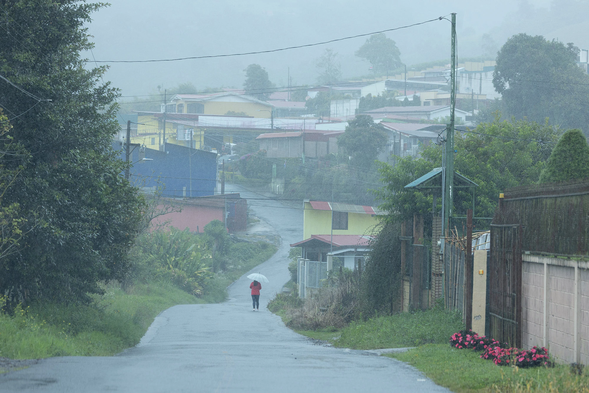 A misty street in a small town in Cartago Province, Costa Rica, with a lone person walking under an umbrella through light rain, houses and power lines fading into the fog.