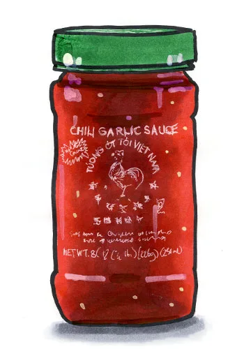 Sketch by Erik Gauger of Huy Fong Chili Garlic Sauce