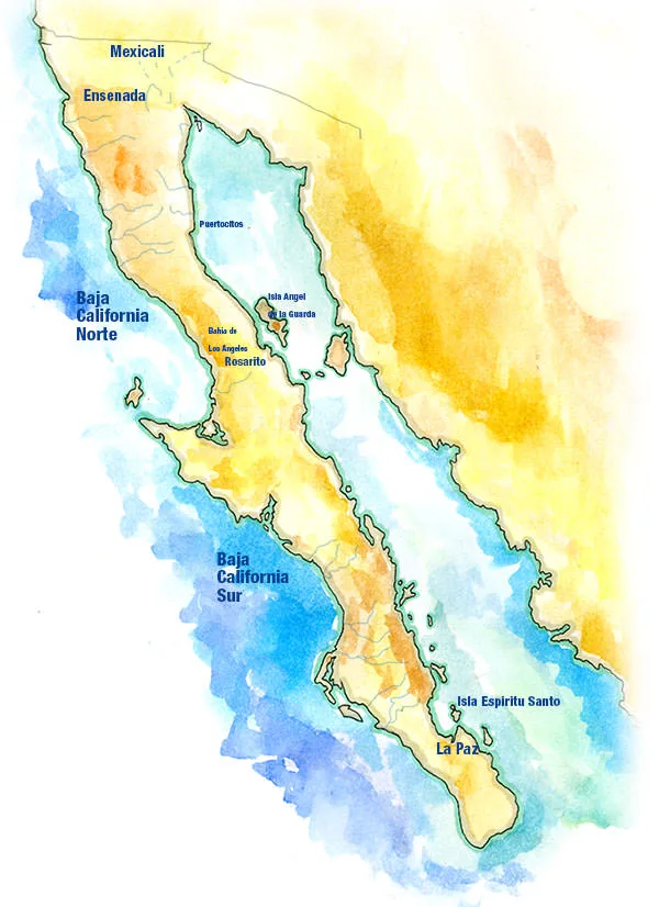 Watercolor map of the Baja California peninsula marking Mexicali, Ensenada, Bahía de los Ángeles, Loreto, La Paz and Isla Espíritu Santo.