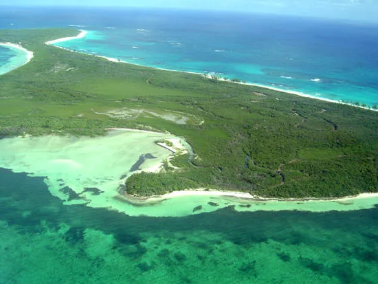 Joe's Creek, before devastation