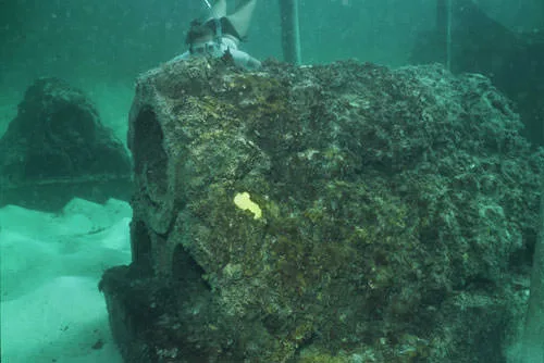 A snorkeler beside a coral-encrusted block on the sandy seafloor, Baker's Bay