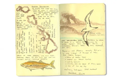 Kauai Moleskine