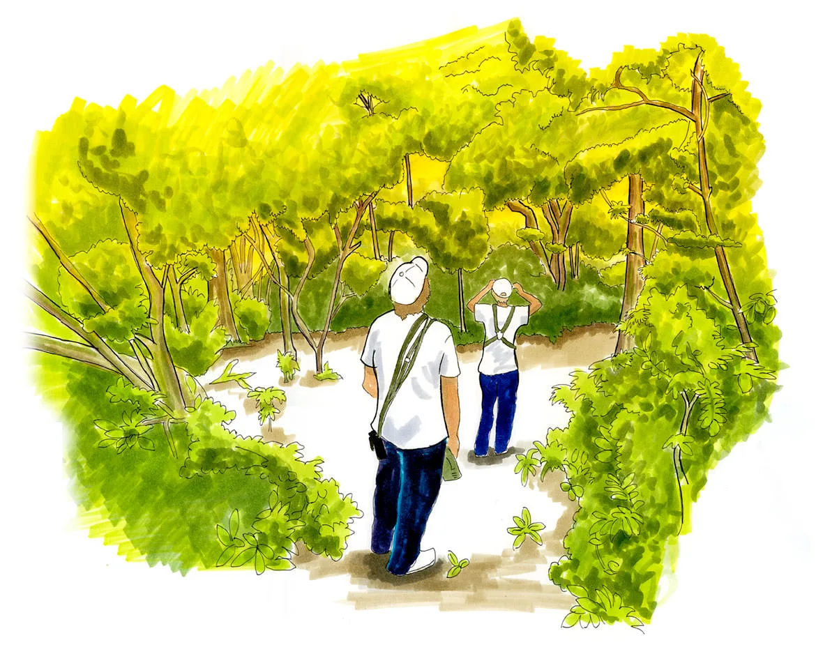 Researching Kirtland's Warbler in Northern Bahamas