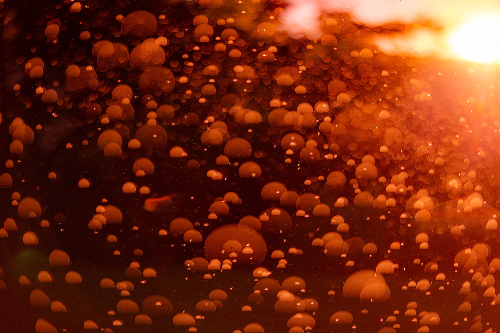 Raindrops suspended in warm evening light, photographed close up so the droplets appear like floating spheres, reminiscent of the microscopic worlds found in a drop of water.