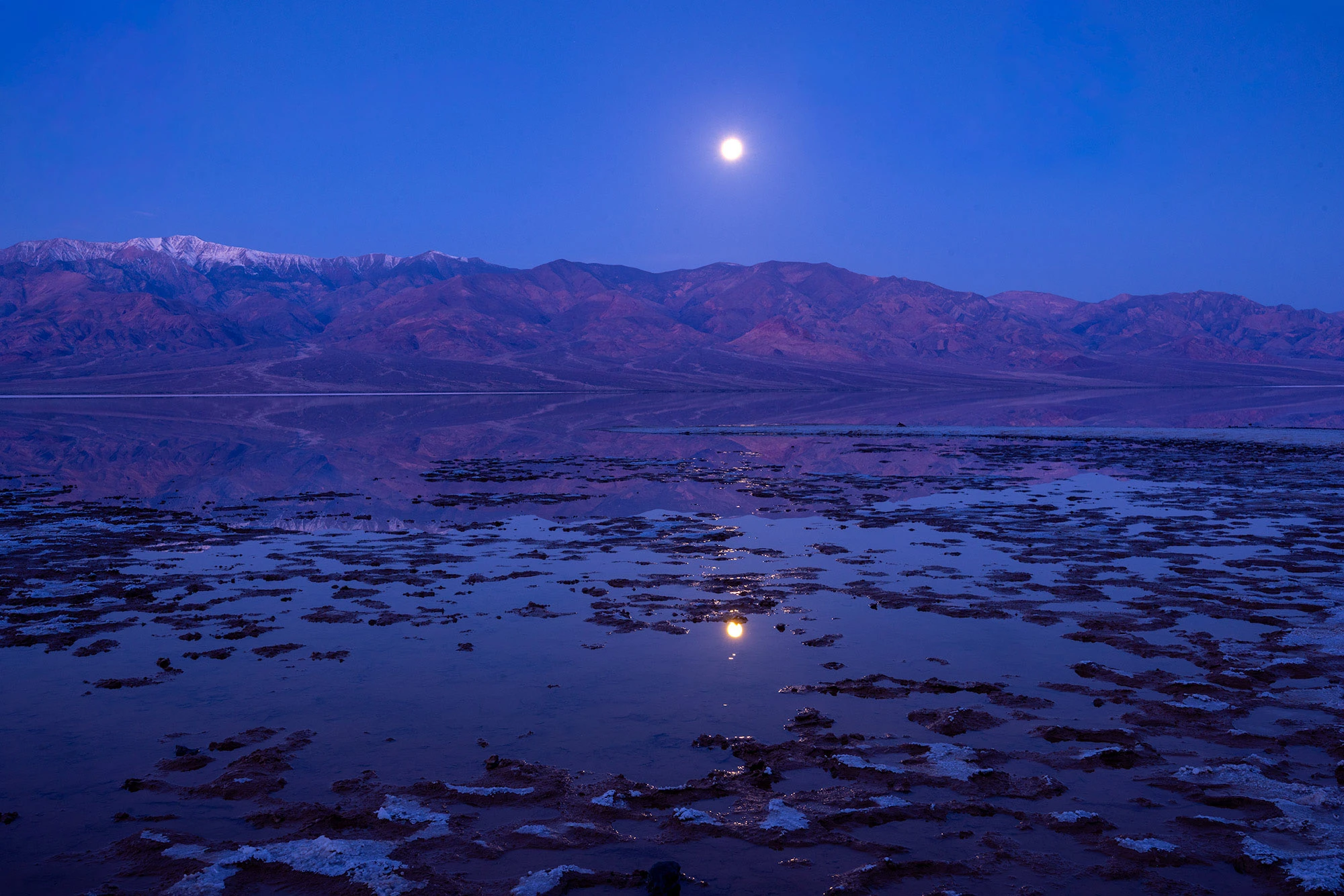 Moonlight reflects across shallow water at Lake Manly in Death Valley, illuminating salt-crusted pools and still surfaces that echo the fragile, shifting environments where desert pupfish endure.