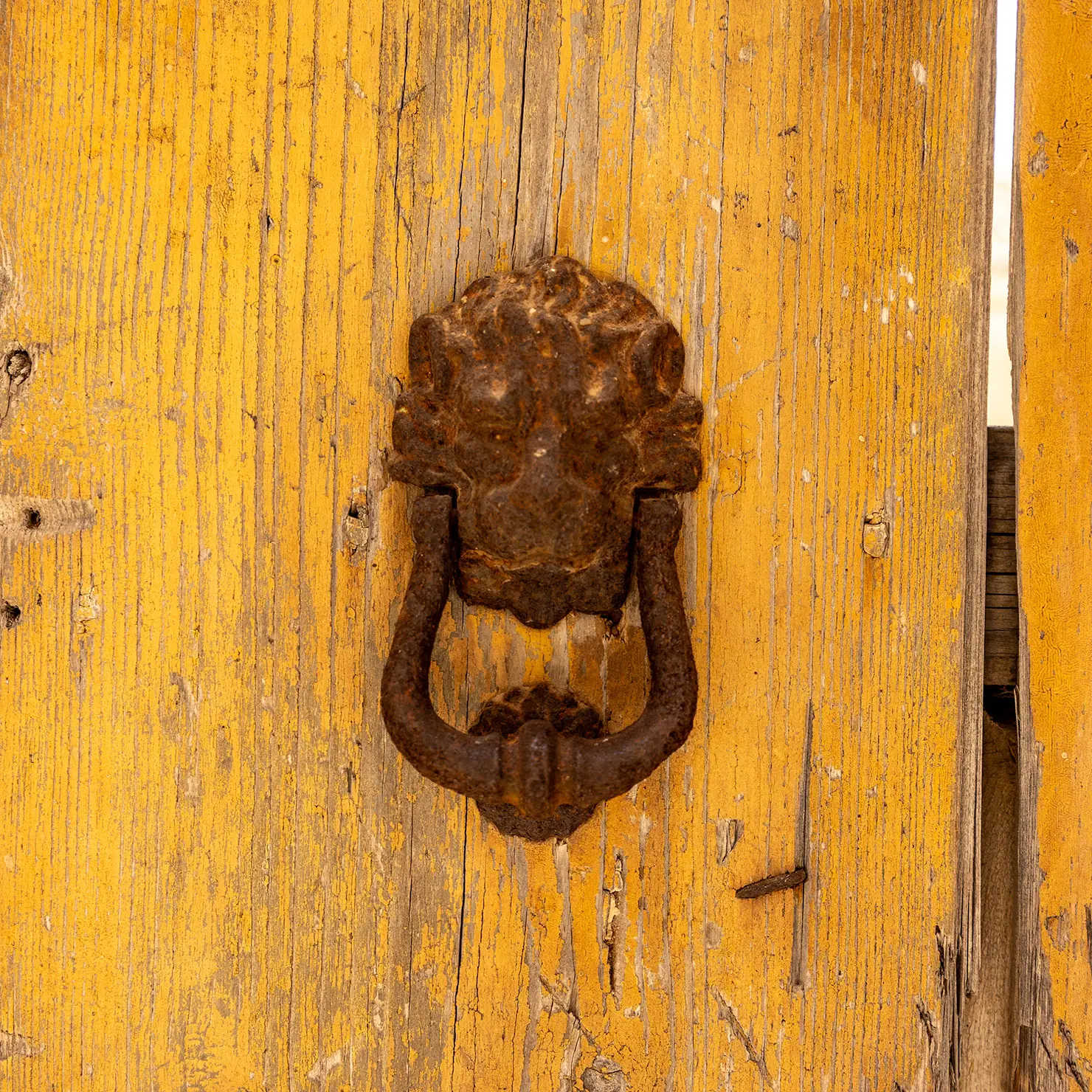 Iron lion-head door knocker on a sun-faded ochre wooden door in Modica, Sicily.