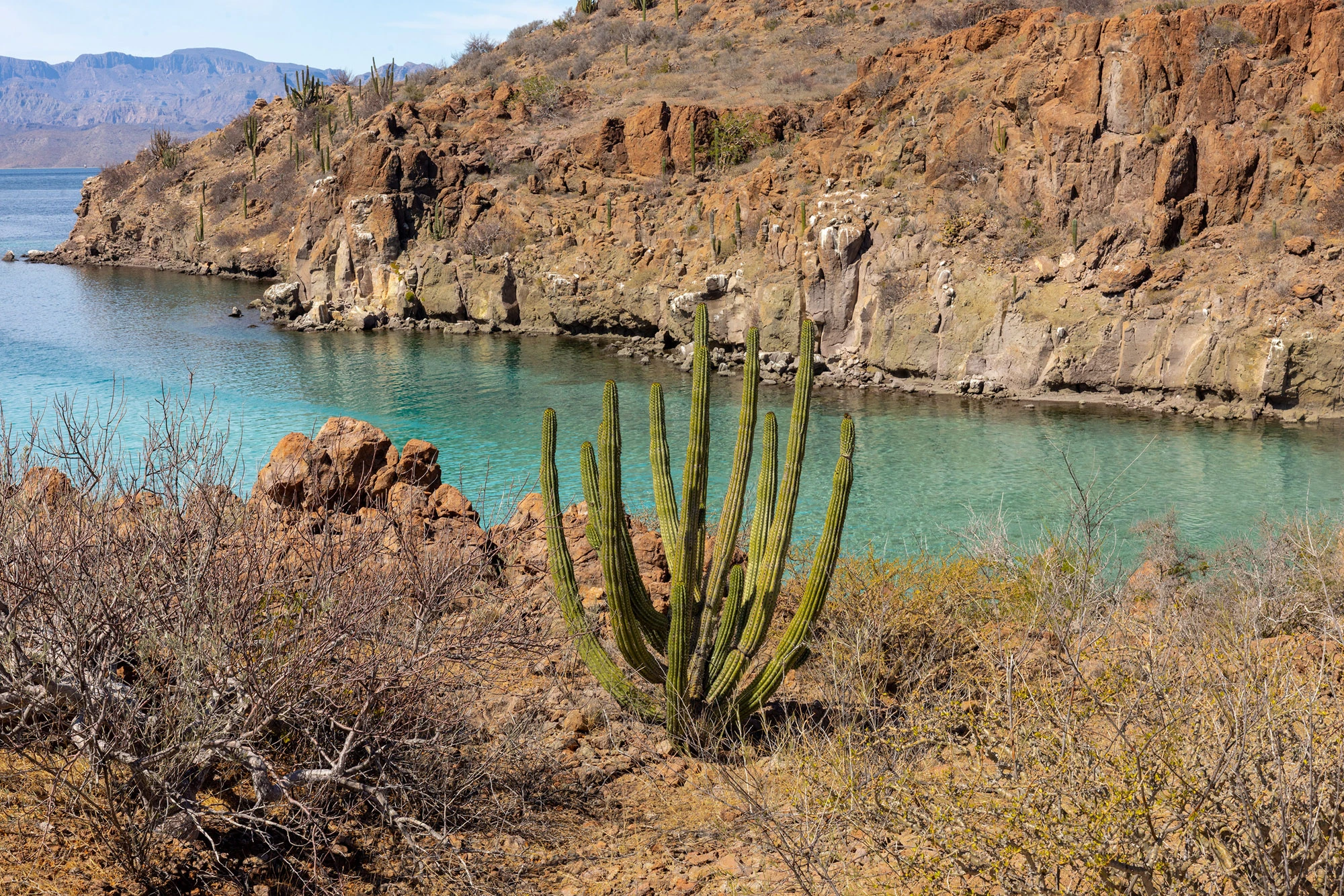 A secluded beach on Isla Danzante, Baja California Sur