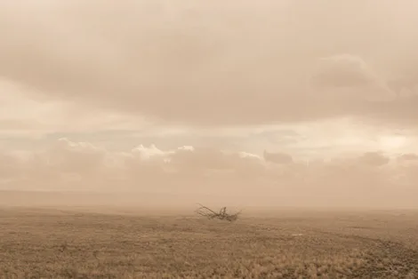 Malheur Refuge
