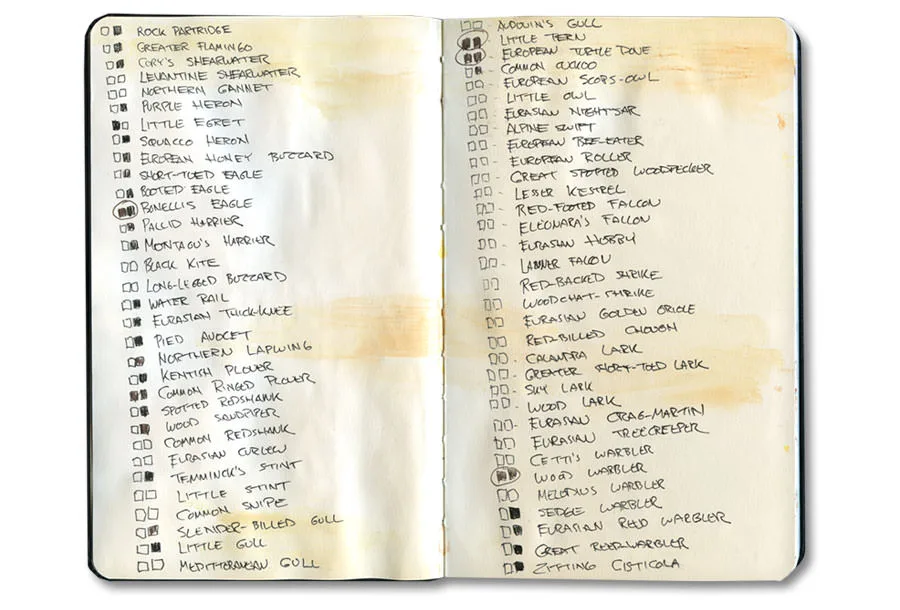 Sketch-journal page of Moroccan instruments, from Erik Gauger's Marrakech notebook (III)