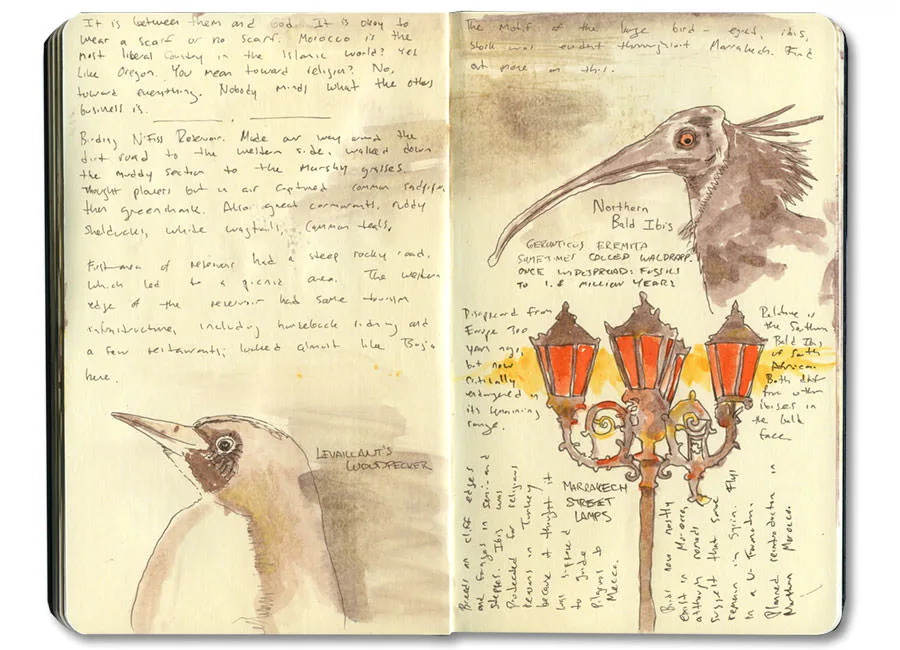 A page from Erik Gauger's Marrakech and Essaouira moleskine sketch journal (I)