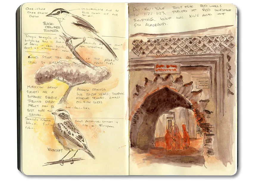 Sketch-journal page of Moroccan instruments, from Erik Gauger's Marrakech notebook (V)
