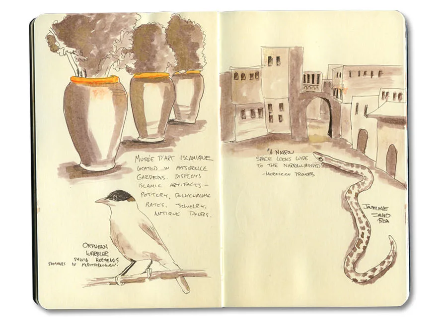 Sketch-journal page of pots from the Majorelle Gardens and an Orphean warbler, Marrakech