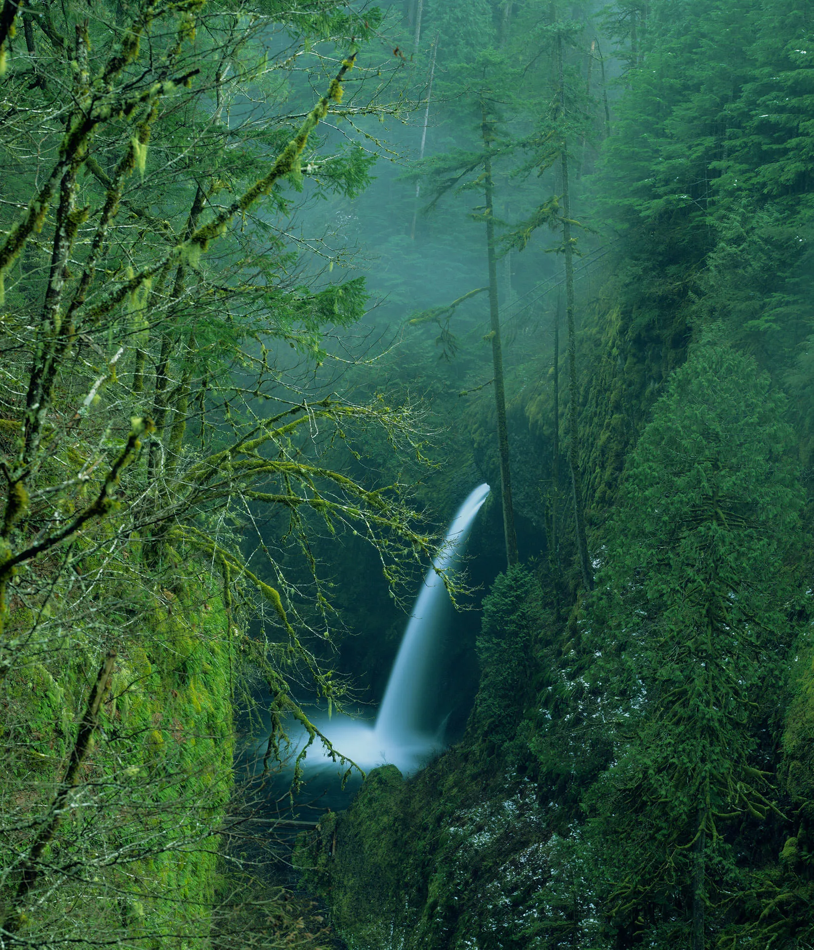 Image of Metlako Falls in the Eagle Creek Gorge within the vicinity of Portland, Oregon.