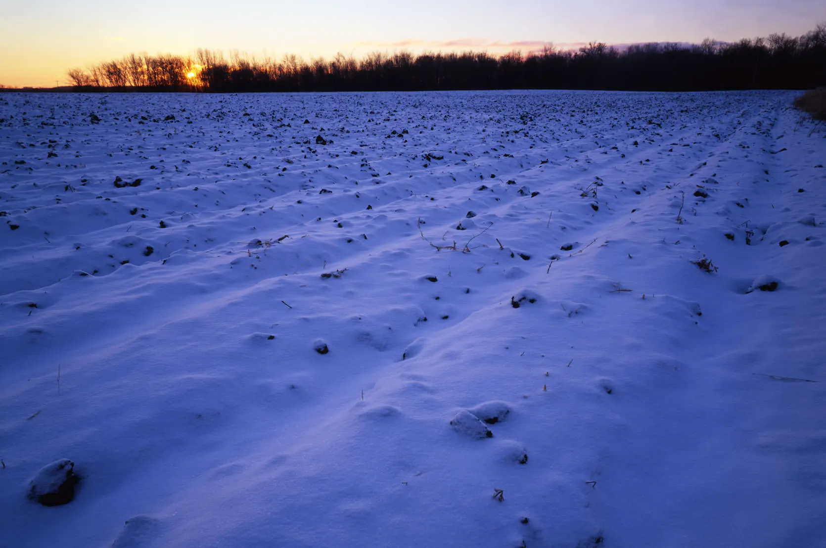 Snow-covered furrows of frozen farmland near Lake Minnetonka at sunset, with a line of bare trees.