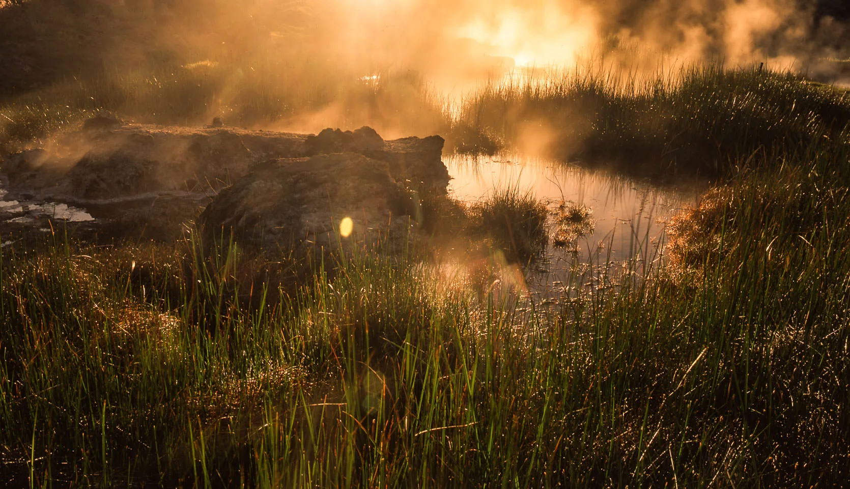 Steam drifting off a geothermal hot spring at sunrise, backlit reeds and a still pool at Hot Creek in the Owens Valley