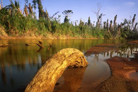 The Philosophy of Monkey River Town
