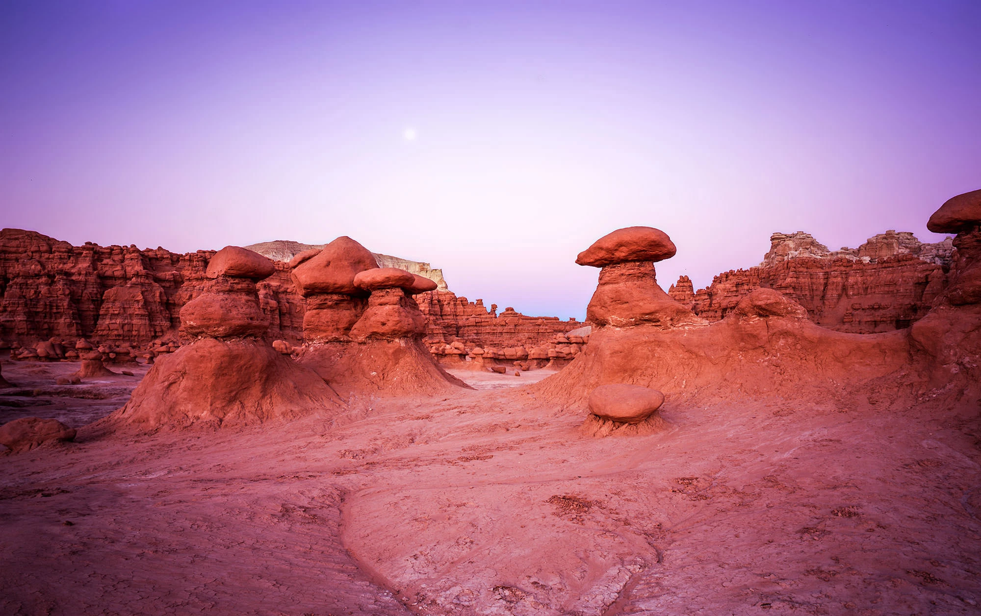 Eroded sandstone above the Dirty Devil River near Hite, Glen Canyon National Recreation Area, Utah