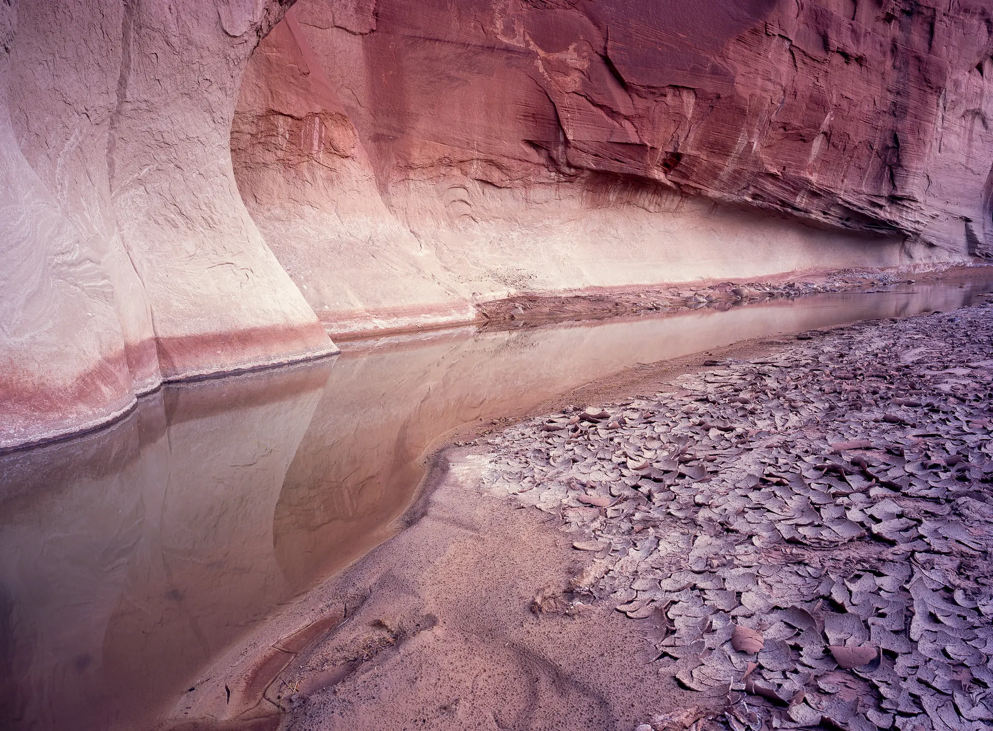 Curving sandstone canyon walls reflected in a still pool beside a bed of cracked mud, southern Utah