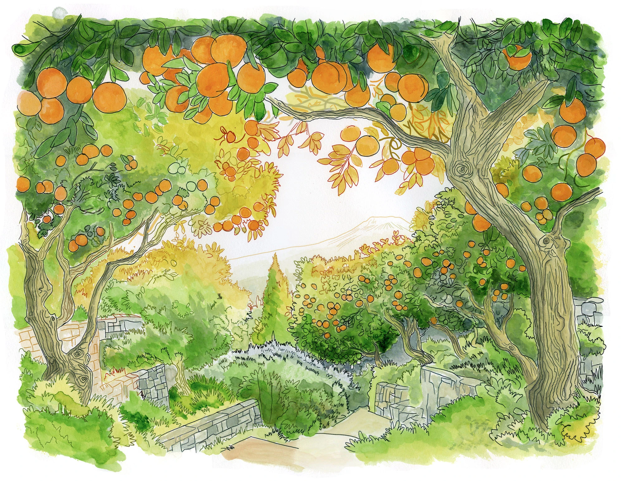 Orange groves on Mount Etna, Sicily.