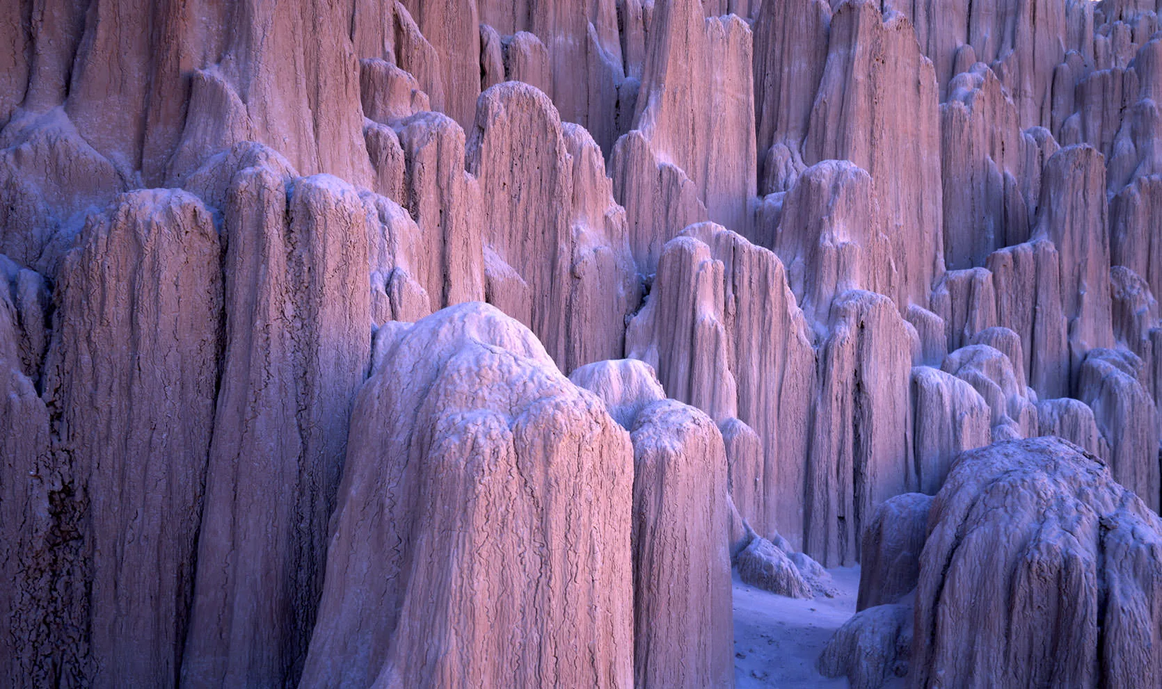 Pale, fluted clay spires in Cathedral Gorge State Park, Nevada, in soft purple light.