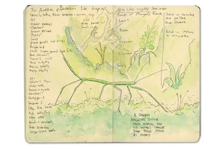 Moleskine Sketch Journal from Granada, Nicaragua