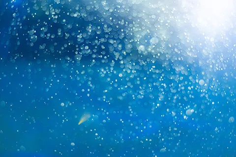 Ocean Acidification