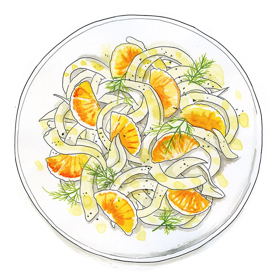 Watercolor and liner pen sketch of a Sicilian orange and fennel salad.