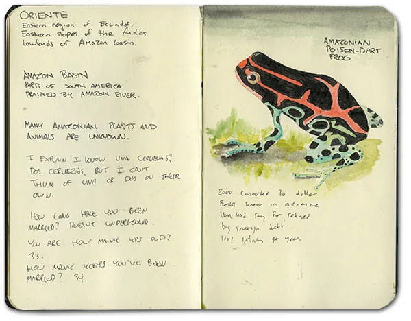 Watercolor of an Amazonian poison dart frog with notes on the Oriente
