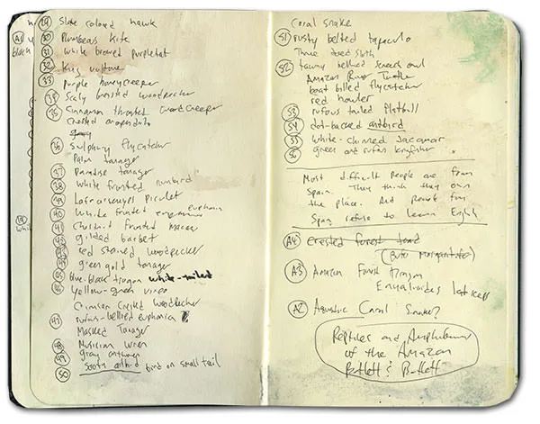 Bird checklist with notes on the Amazon forest dragon and other reptiles