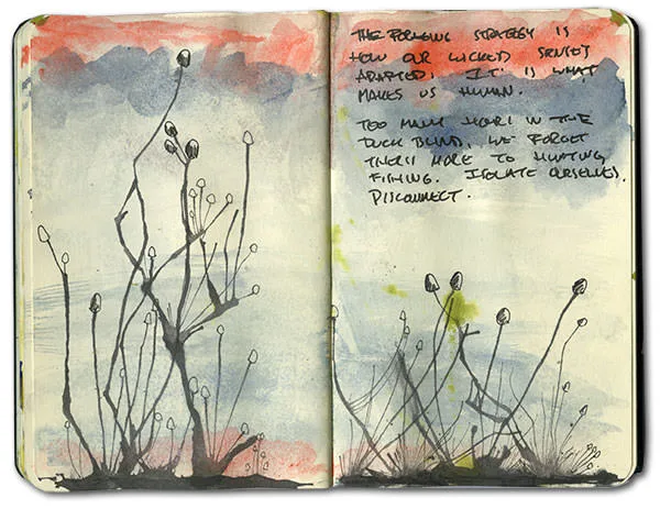 Ink silhouettes of seed heads against a red and blue watercolor sky