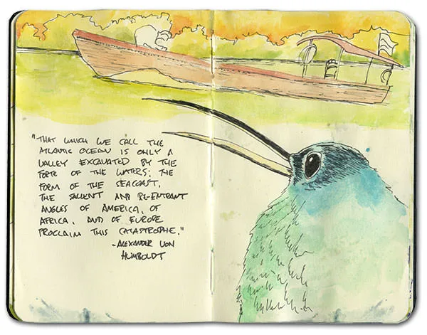 Watercolor of a motorized canoe on the Napo River and a long-billed hummingbird