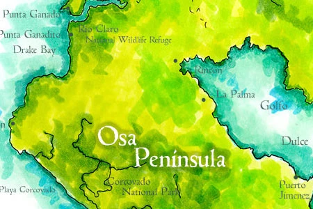 Handpainted map of Costa Rica's Osa Peninsula