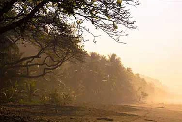 Osa Peninsula