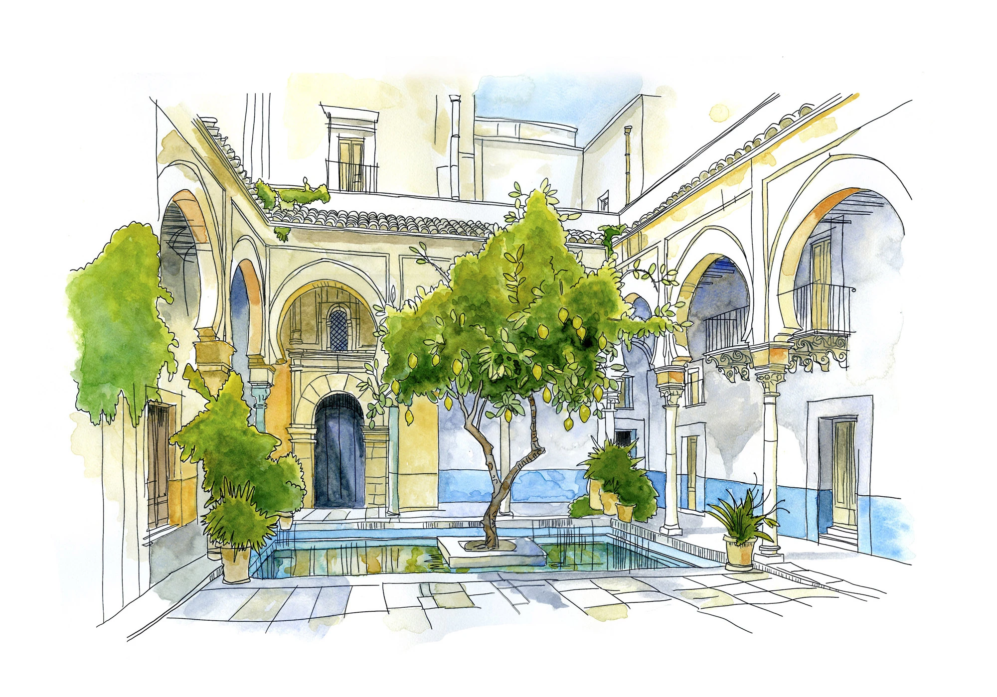 Copic and pen illustration of a hidden Palermo courtyard garden with a fountain and a citron tree