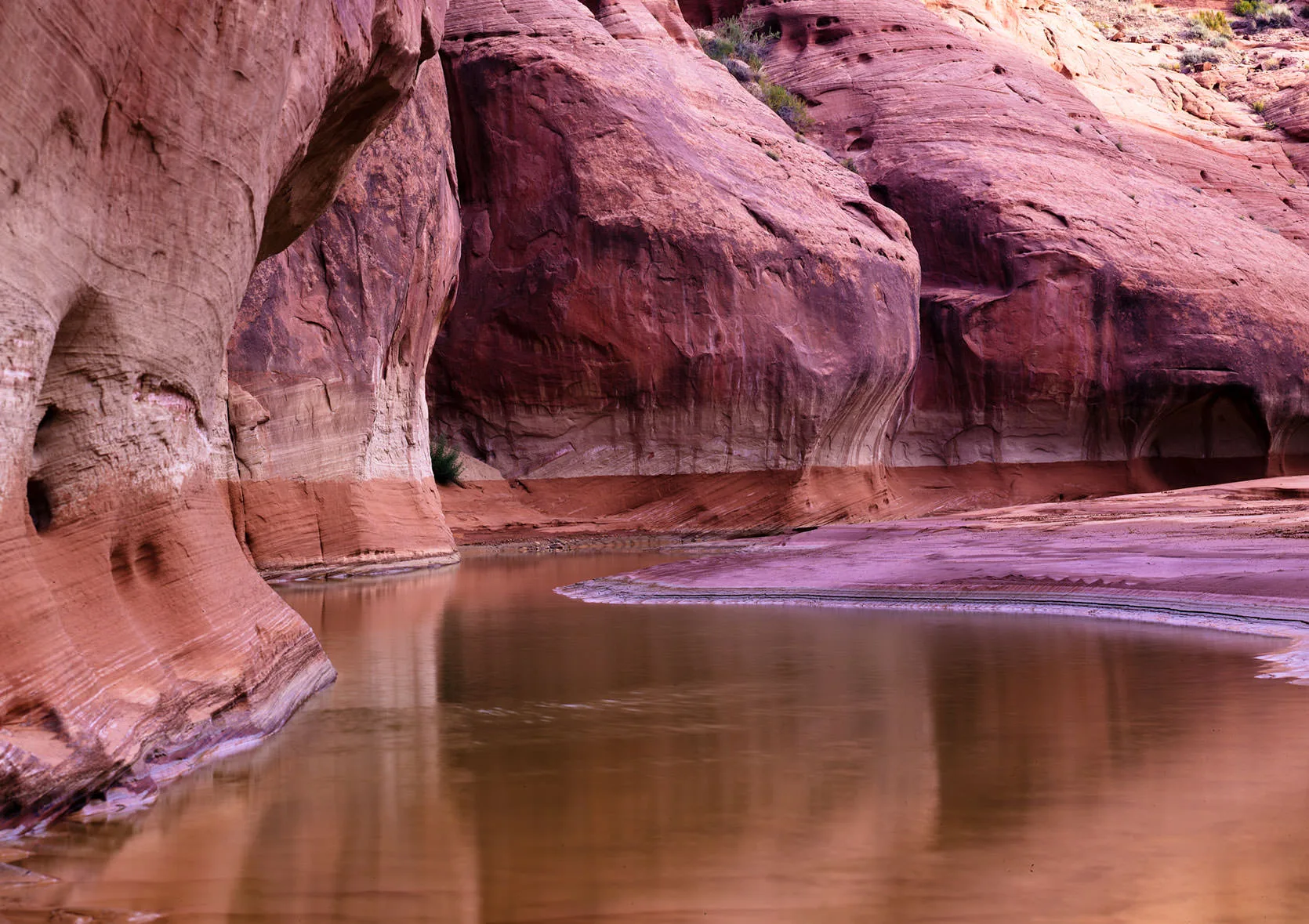 Red and pink sandstone walls reflected in a muddy pool at the bottom of a slot canyon, the Escalante country