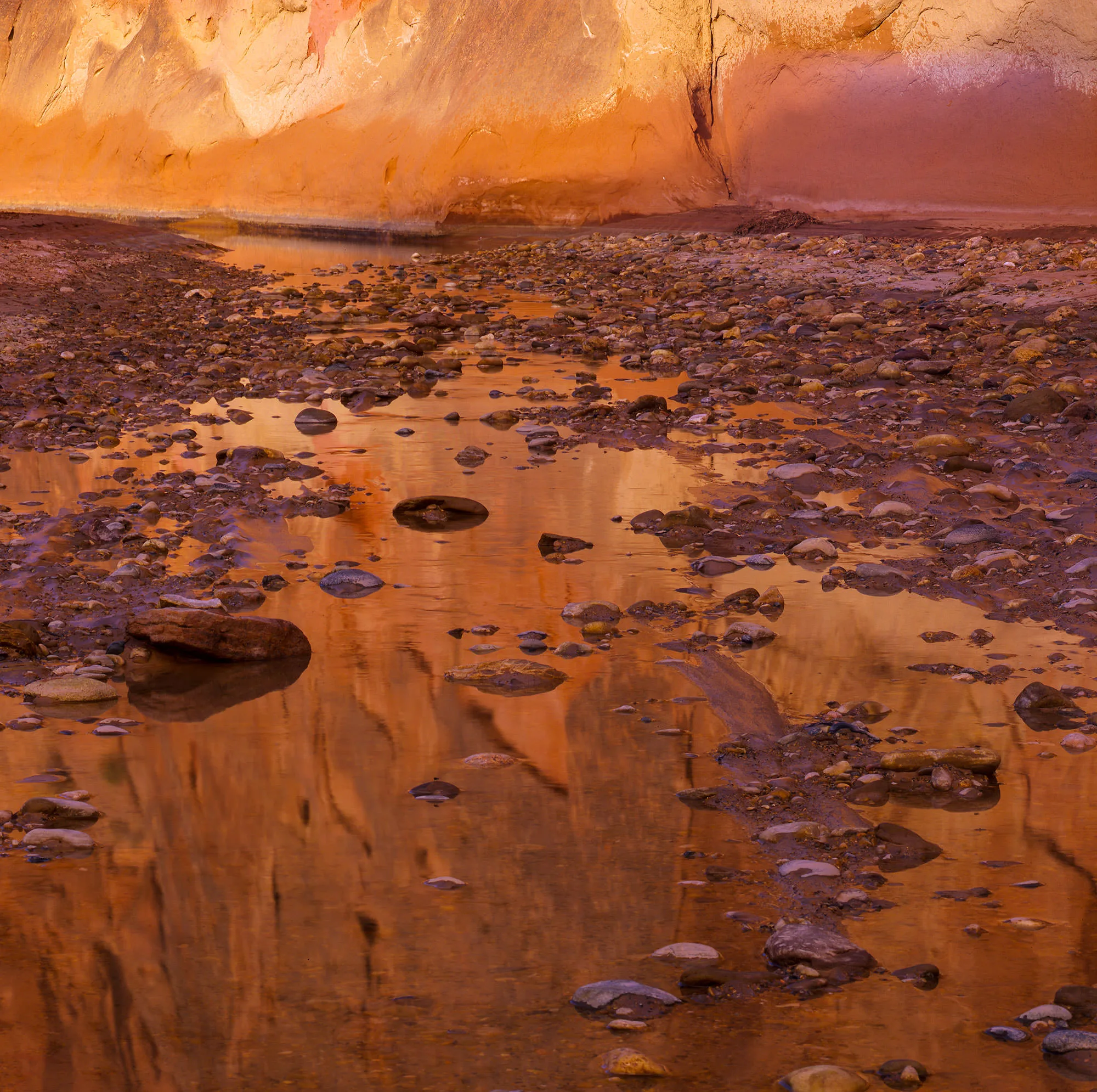 Morning glow and rocks in the Paria River