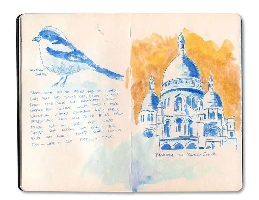 Paris Journal: Sacre Couer in Blue Ink
