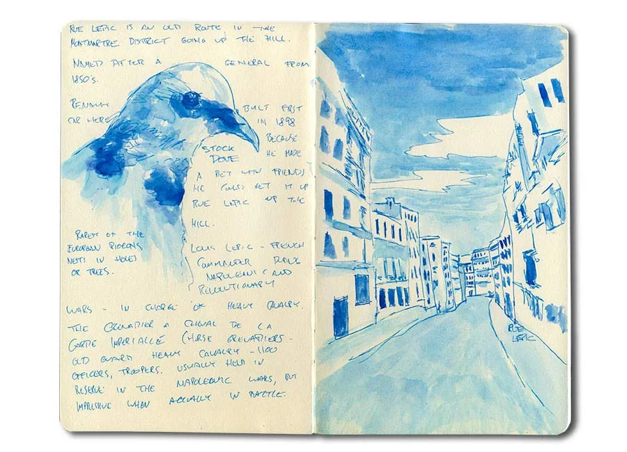 Paris Journal: Stock Dove