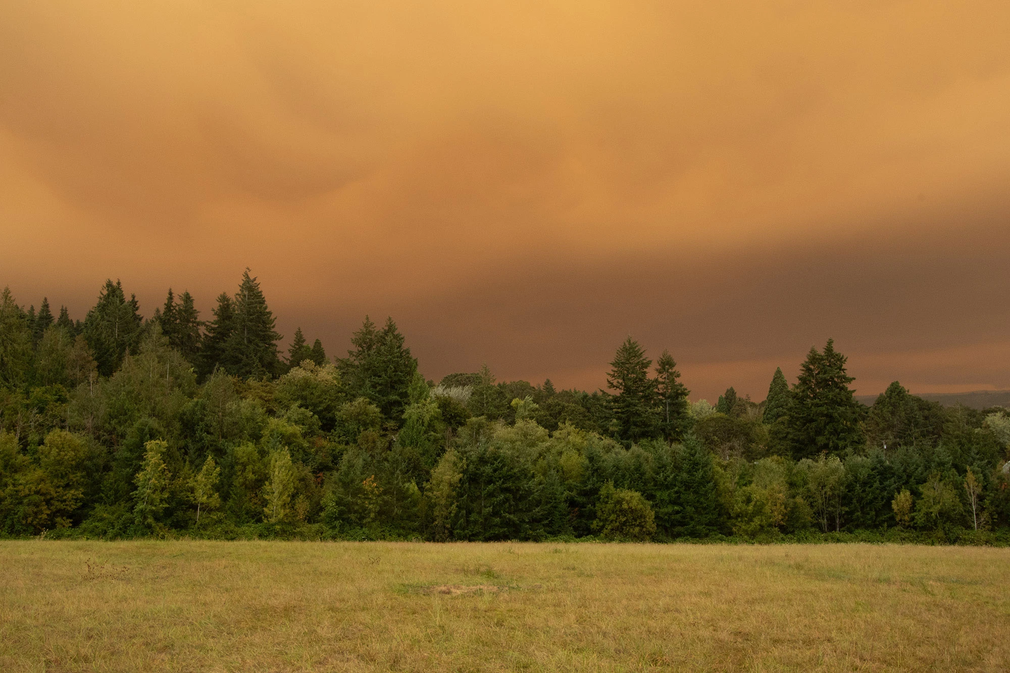 Forest and open field near Portland, Oregon under an orange sky as wildfire smoke from the September 2020 fires begins to fill the atmosphere, reducing visibility and signaling the onset of hazardous air conditions.