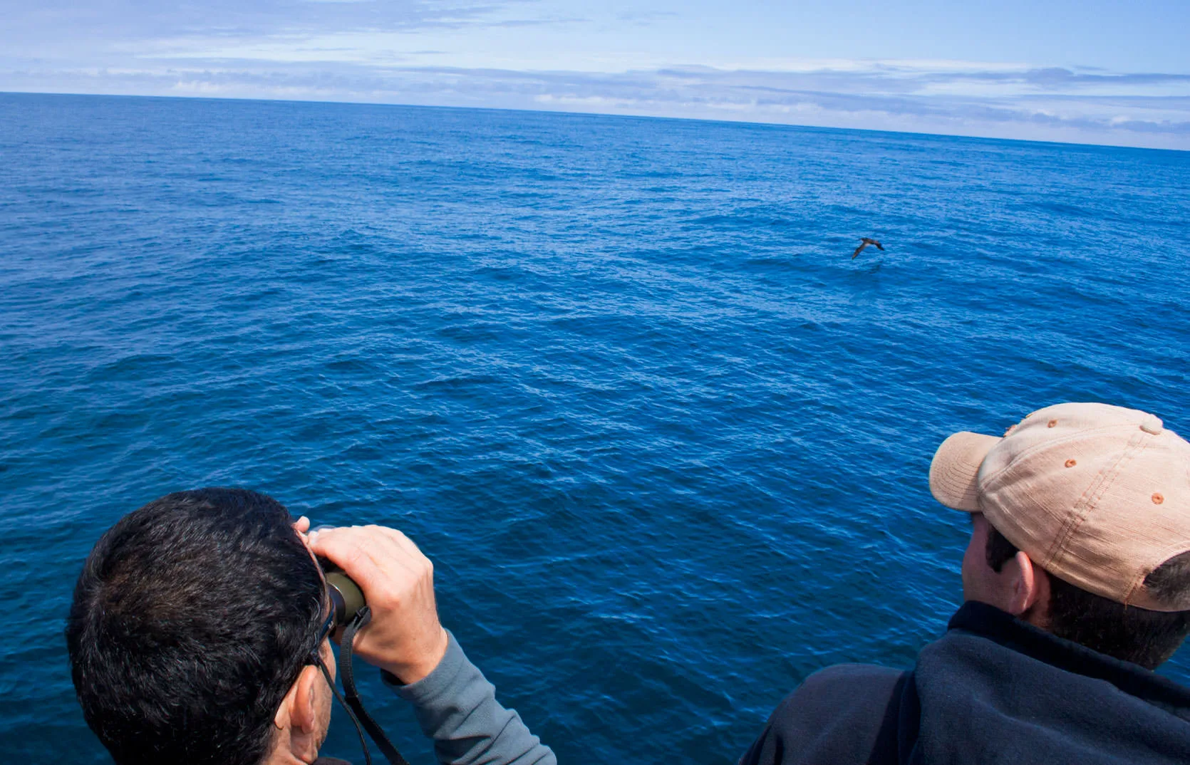 Two birders on a boat scanning the deep-blue open ocean, a lone seabird skimming the water