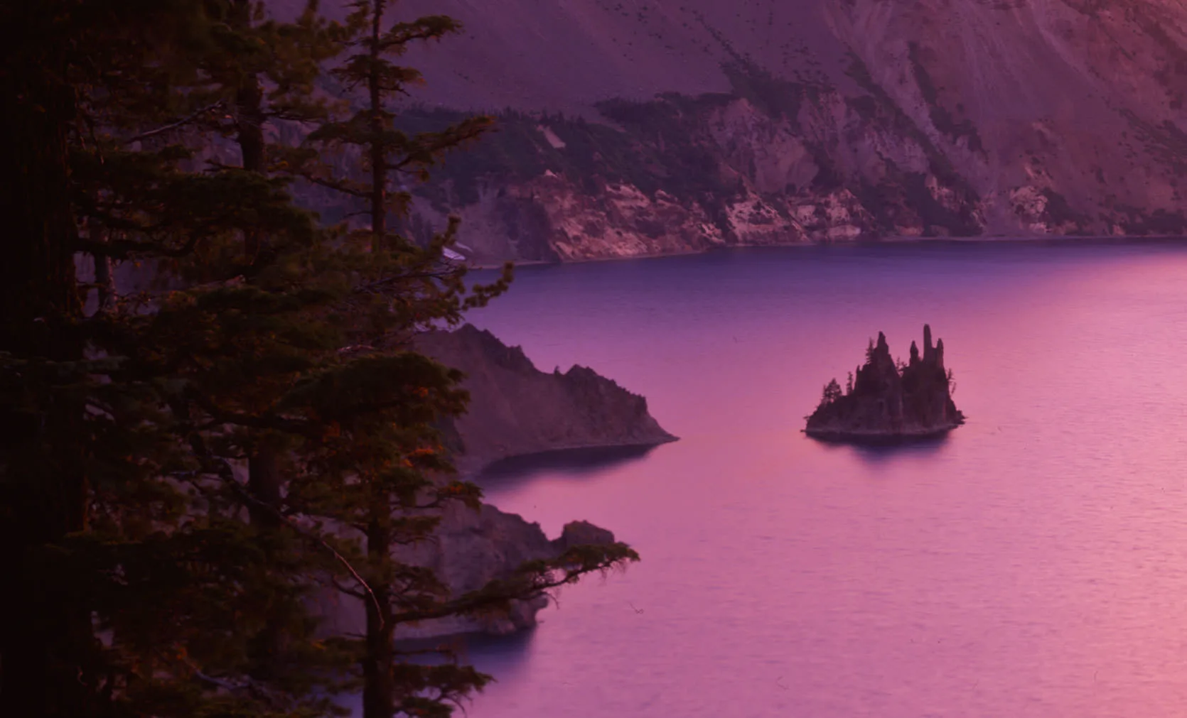 The jagged Phantom Ship islet in the pink dusk waters of Crater Lake, framed by a silhouetted conifer, Oregon