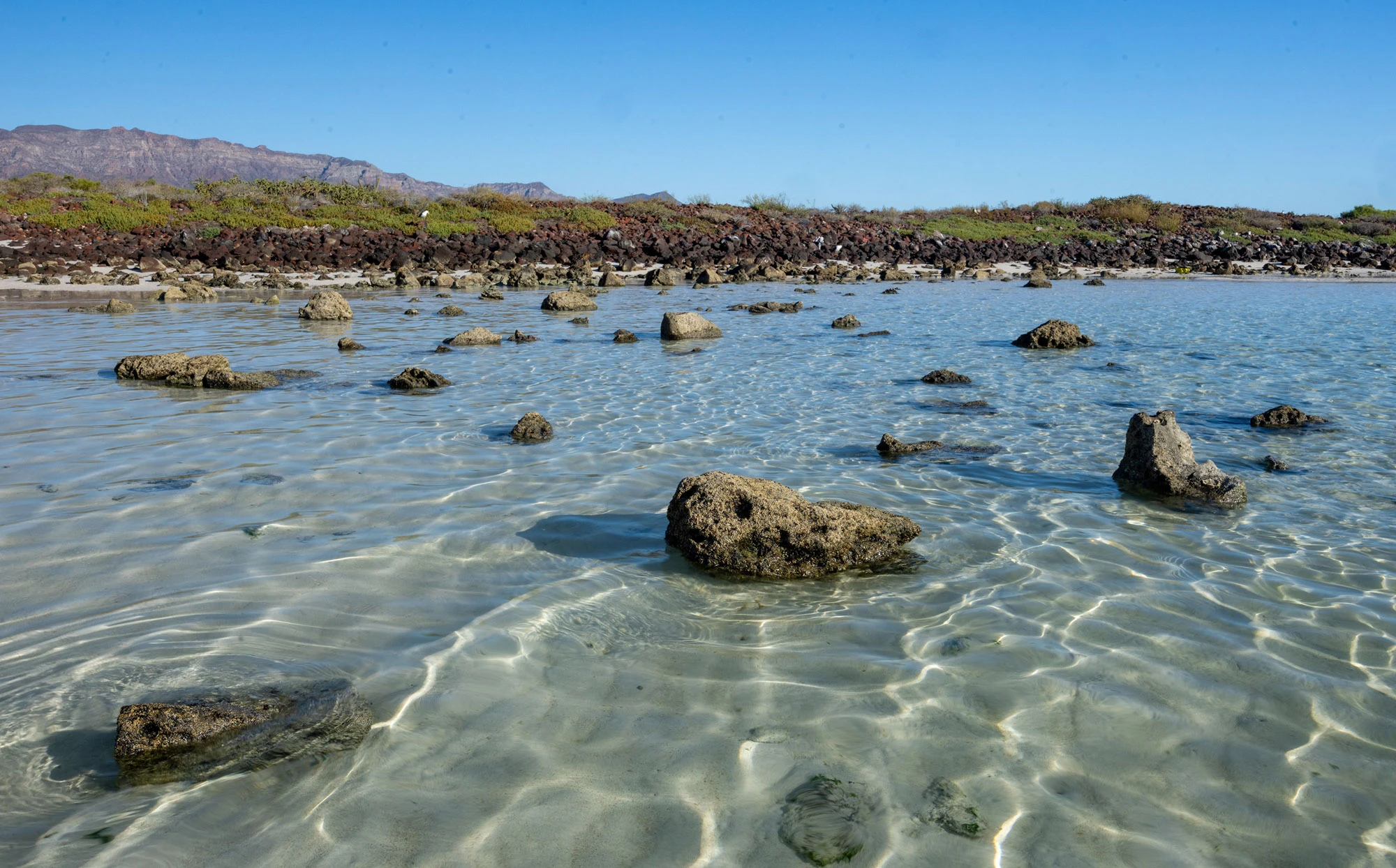 The white sand beach on the leeward side of Isla Coronado, Baja California Sur